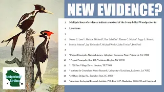 NEW Ivory-billed Woodpecker "Evidence": Is it Conclusive?