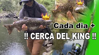 PENSABA que pescar un CHINOOK con el tradicional TARRO y un SEÑUELO PEQUEÑO era casi IMPOSIBLE Y TU?