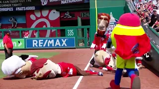 Happy Birthday, Screech! - The GEICO Presidents Race (5.21.23)