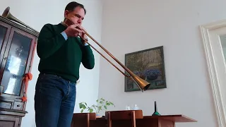 Slide trumpet "Adimari"