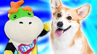 Crazy Mario Bros: Bowser Jr's Dog!