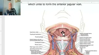 Anatomy of head and neck module in Arabic 52 (Muscular and submental triangles) , by Dr. Wahdan