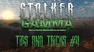 How the Disguise Mechanic Works and More... | Stalker GAMMA Tips and Tricks #4