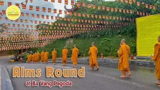 Alms Round | 3 Days Before Buddha's Birthday Celebration | Vietnam