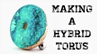 #51 Making A Hybrid Torus or Donut or Bagel 😁