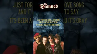 The Damned - Love Song (Cover Lyrics)