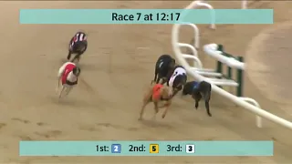 Monmore Greyhounds Races on 17th April 2024