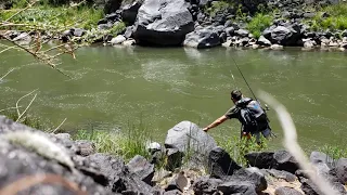 Trout fishing the Rio Grande river. ( not telling where )