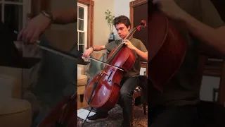 NEC Audition - Cello excerpt from Dvorak’s Symphony No. 9 (From the New World)