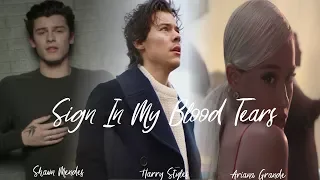 ''SIGN IN MY BLOOD TEARS'' | MASHUP feat. Shawn Mendes,Harry Styles & Ariana Grande