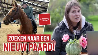 De zoektocht naar ons nieuwe paard! || ehorses