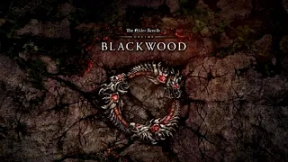 Blackwood - Elder Scrolls Online Soundtrack- Ambient OST (Depth Of Field Mix)