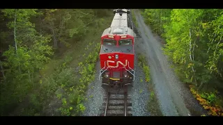 Passage d'un train de marchandises sur le pont Népisiguit Falls, Bathurst Nouveau-Brunswick .