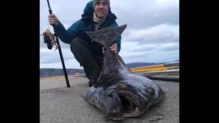 Shore Fishing halibut 32kg. Visual take (lurefishing)