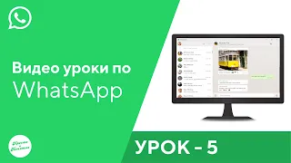 Урок Ватсап №5. Web версия. #ватсап #ватсапбезскачивания #ватсапнаноутбук