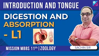 Introduction to Digestion and Absorption Class 11 Biology (Chapter  16) Explained | NEET 2024 Exam