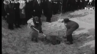 Netherlands Princess Wilhelmina attends tree-planting ceremony on Walcheren (1948)