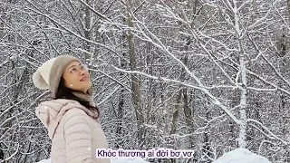 Tombe la Neige | Salvatore Amado | Tuyết rơi | Phạm Duy | Bich Ngoc cover