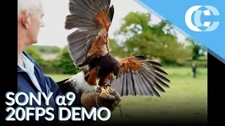 Sony A9 20fps Demonstration