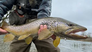 Spring Time Trout Fishing! (Big Trout)