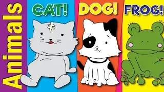 Learn Animals Names & Vocabulary | Video Flash Cards | Fun Kids English