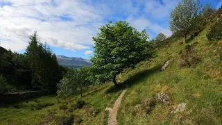 Trail Running | Precipice Walk: Trail near Dolgellau, Wales | Hiking, Running