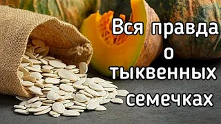 🎃Семена тыквы: что нужно знать?🧐🤔