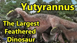 Yutyrannus: The Largest Feathered Dinosaur Ever Discovered