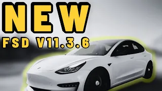 Tesla Full Self Driving NEW Update! | FSD Beta 11.3.6