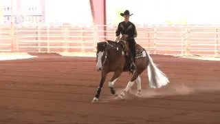 JoAnn Anderson - Oaks Lectric Gun - NRHA Non Pro Class