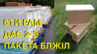 З 6ти рамника можна взяти 2-3 пакети бджіл якщо добре пряцювати! #пчеловодствов6тирамочныхульях