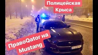 ПравоQator на Mustang и Полицейская крыса