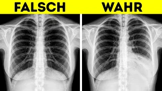 Von Kopf bis Fuß: Unglaubliche Geheimnisse und Mythen des menschlichen Körpers