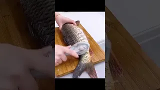 Effortless Fish Cleaning with the Fish Scales Grater Scraper #youtubeshorts #viral #viral