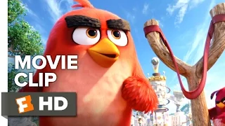 The Angry Birds Movie CLIP - We're Gonna Fly (2016) - Jason Sudeikis Movie HD