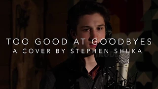 Sam Smith - Too Good at Goodbyes (Cover by Stephen Shuka)