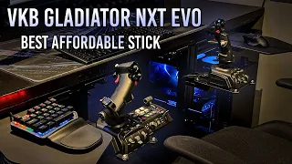 The BEST Affordable HOTAS Dual Joystick | VKB Gladiator NXT EVO