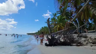 ☀️Caribe /Isla Saona🏖/Dominican Republic