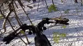 Tenpoint Vapor Crossbow Deer Kill - Buck Dropped In Tracks