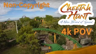 Cheetah Hunt at Busch Gardens Tampa 4k POV (Non-Copyright)