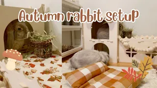 Autumn/Fall rabbit setup makeover 🍂🐇