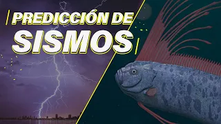 Los sismos NO pueden predecirse; te explicamos por qué