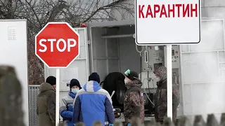 Очаги сибирской язвы в России локализованы