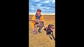 Pheasant Hunting - The Double Tap