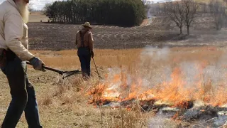 Prescribed Burning for Native Grasslands