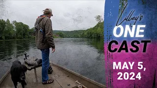 Lilley's One Cast, May 5