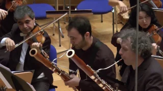 Concerto for Two Bassoons (Johnsen, Hinrich Philip) 1.Moderato Sergio Azzolini,Ozan Evruk