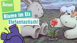 Der kleine Eisbär findet eine Blume  & Ratefilm Fahrzeuge | Der Elefant | WDR