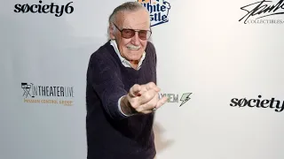 Judge weighs in on struggle surrounding Marvel's Stan Lee