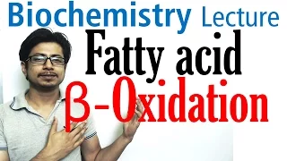 Beta oxidation of fatty acids | Fatty acid metabolism lecture 1